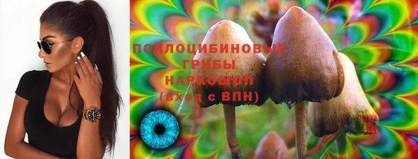 тгк Горнозаводск