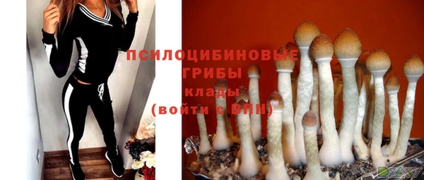 тгк Горнозаводск