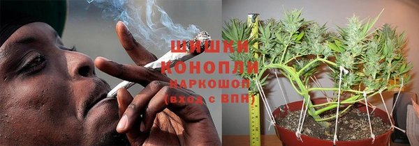 тгк Горнозаводск