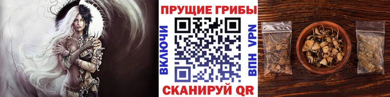 Псилоцибиновые грибы MAGIC MUSHROOMS  это состав  Мценск  купить   mega tor 